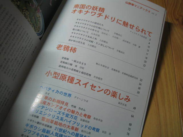 山野草マニアックス vol.2 小型原種 スイセン 老鴉柿 オキナワチドリの画像2