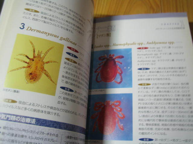  exotic pet. . raw insect hand book 