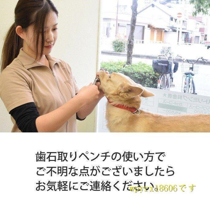 愛犬・愛猫用 歯石取り ペンチ 犬 歯石 デンタルケア ホームケア 猫 プロも愛用_画像7