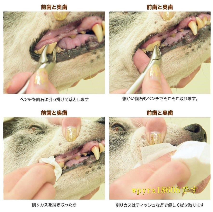 愛犬・愛猫用 歯石取り ペンチ 犬 歯石 デンタルケア ホームケア 猫 プロも愛用_画像2