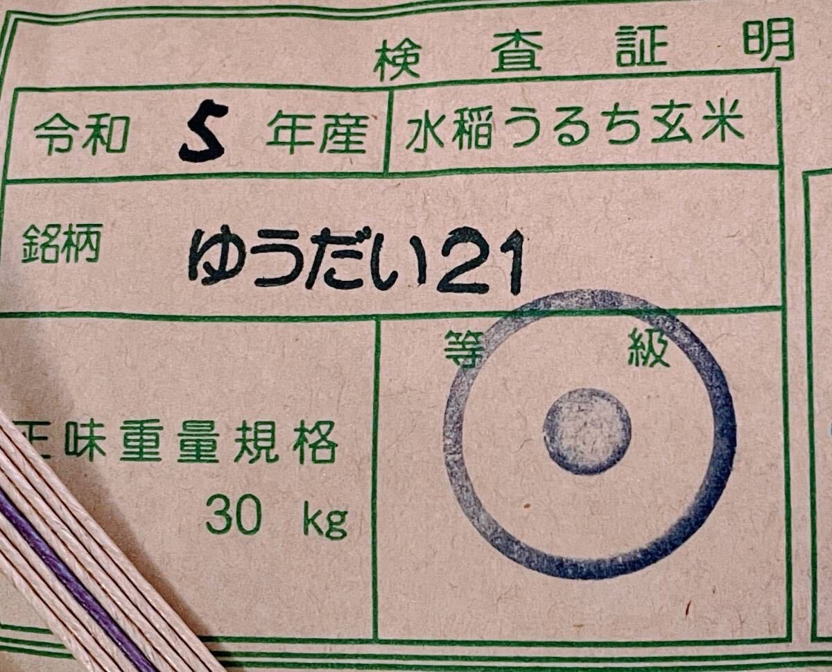 . peace 5 year south Shinshu production is ... rice special cultivation rice [....21] brown rice 10Kg(. rice service )