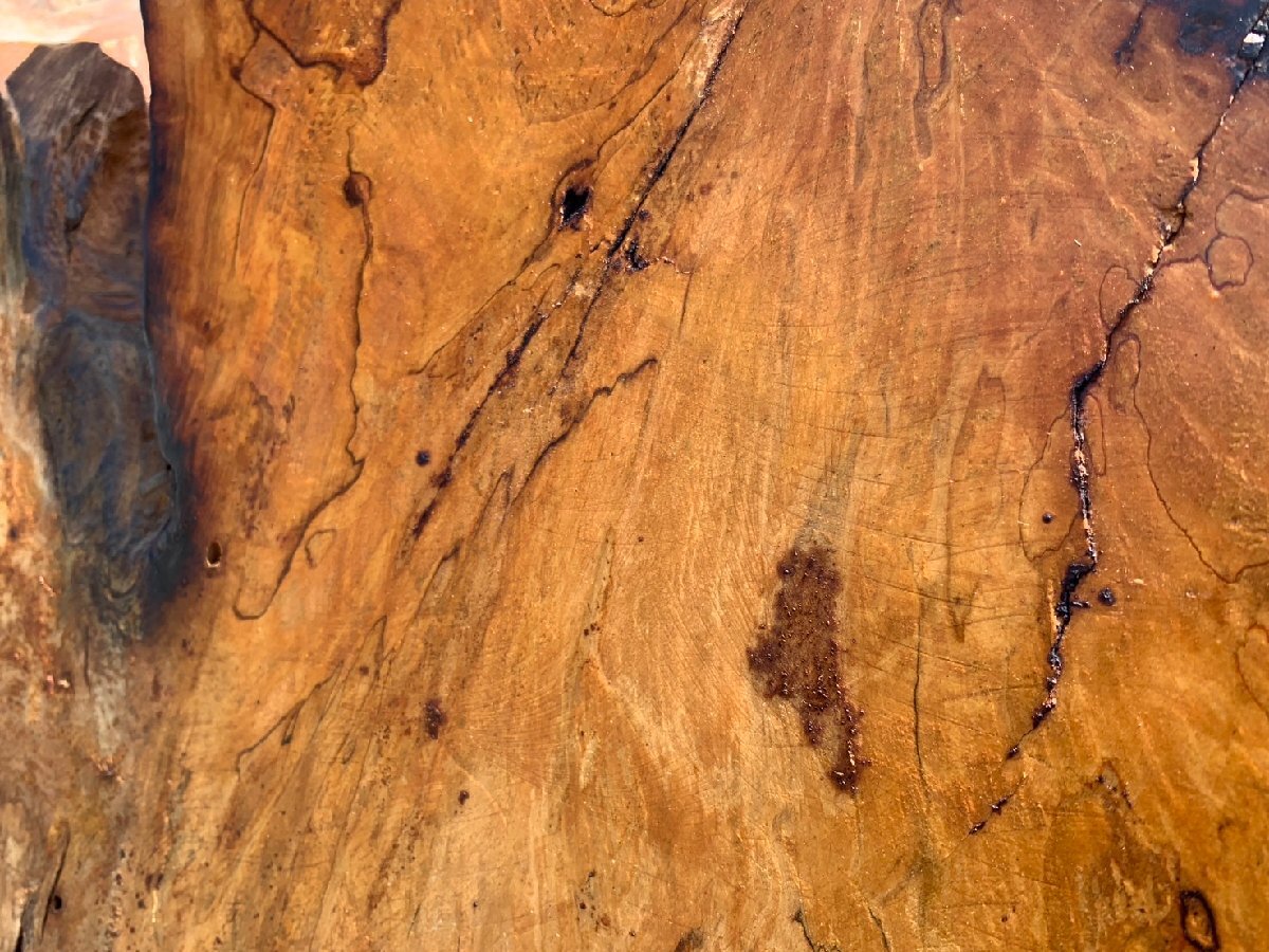 【骨董】衝立 天然木 一枚板 高さ約171cm 厚み6.5cm