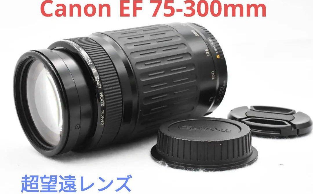 3月18日限定販売 【超望遠レンズ】Canon EF 75-300mm｜Yahoo!フリマ