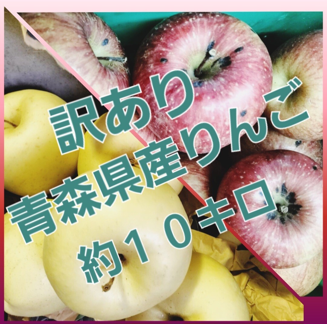 青森県産りんご 訳あり リンゴ 青森 津軽 弘前 平川 広船 赤いりんご 黄色のリンゴ ふじ 金星 食べ比べ 10kg 10キロ 家庭用 加工用 生食用_画像1