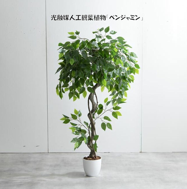  free shipping photocatalyst human work decorative plant Benjamin interior green artificial flower human work plant fake green (1273)