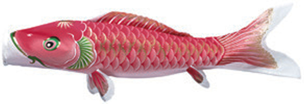 即決！【新品鯉のぼり5m5匹セット】8点こいのぼりポリエステルちりめん生地天華錦鯉幟_ピンク鯉1.5m、2mもございます。