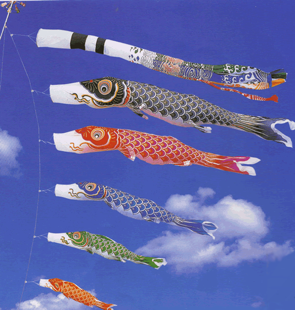 即決！【新品鯉のぼり単品】3mこいのぼり金寿鯉幟・4色の画像2