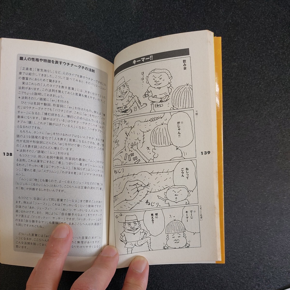 ハイサイ沖縄言葉「ウチナーヤマトグチ」藤木勇人著　2004年12月初版発行_画像7