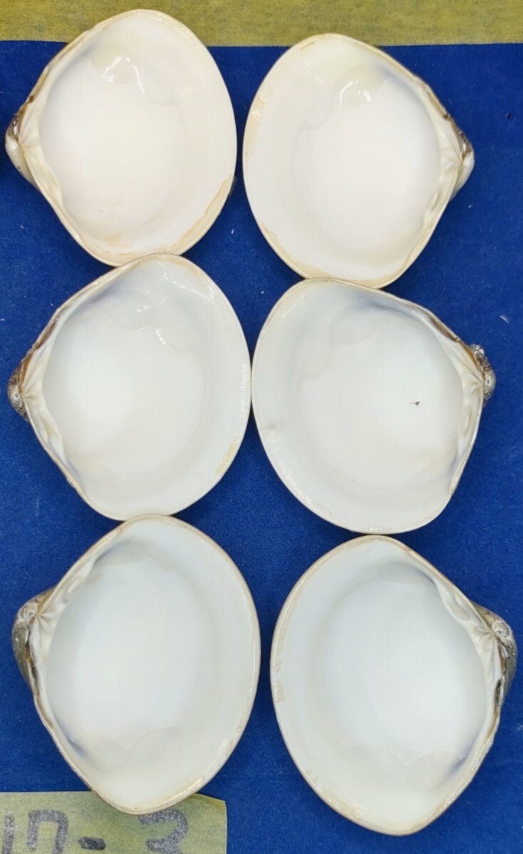 蛤 YMS−24-0317-3　50mm×12個　　江戸前　ハマグリ　貝殻　標本　材料_画像9
