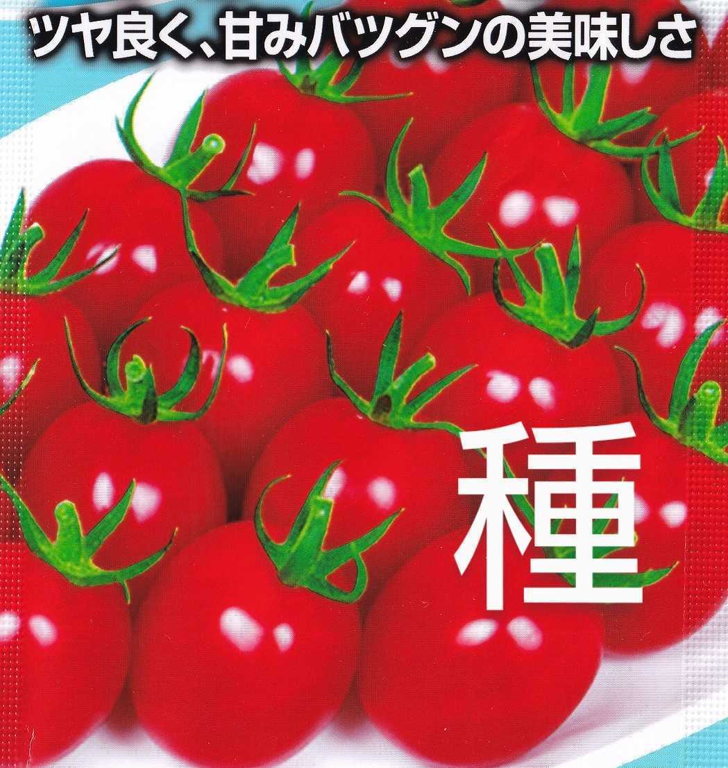 ミニトマト・甘っ娘の種子 6粒 高糖度で酸味とのバランスが良い！ツヤがありやや縦長のスイートミニトマト！ 甘っ娘_画像1