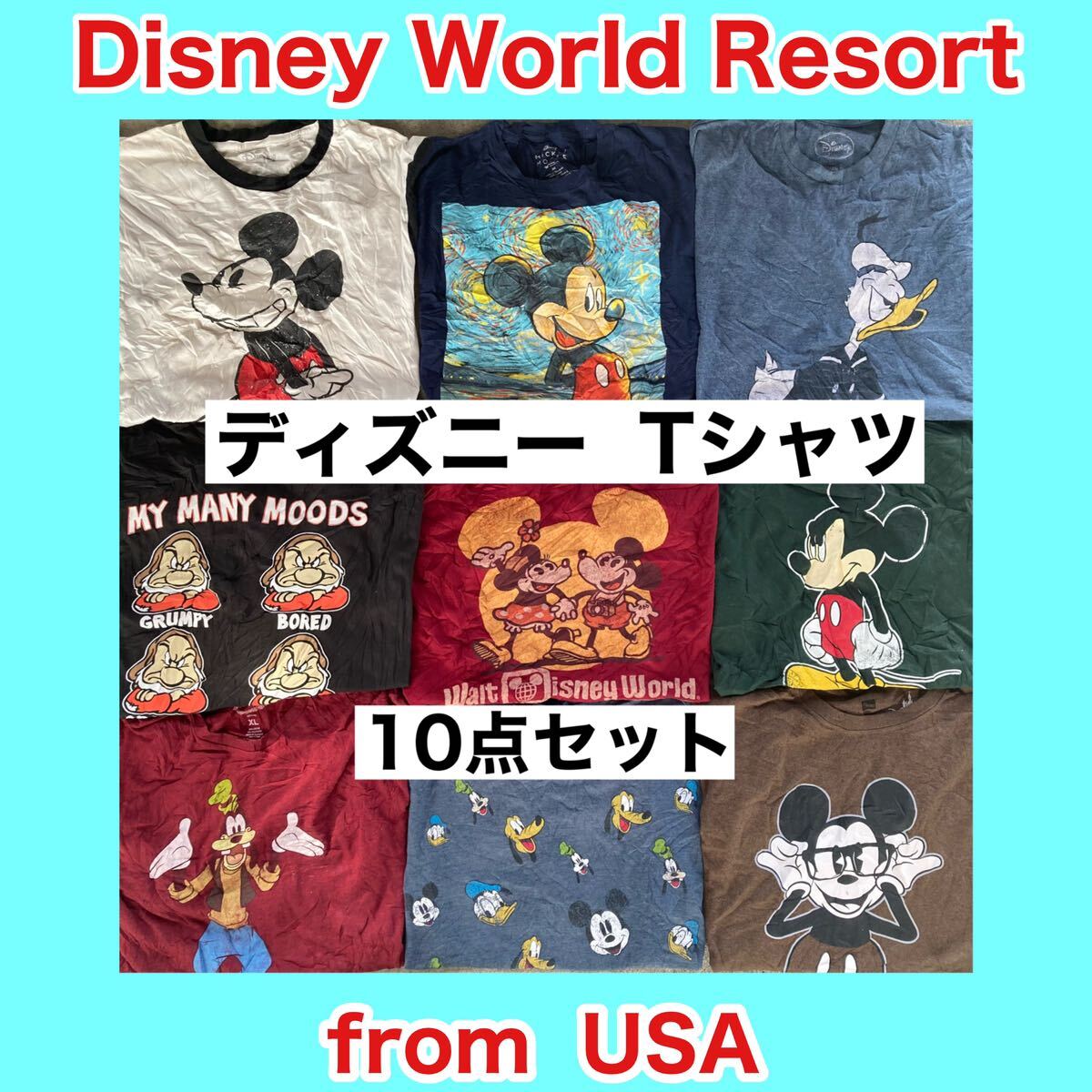 ディズニー プリントTシャツ、おまかせ10点売りセット（SIZE MIX） Disney ミッキーマウス ミニー ドナルドダック キャラクター アメリカ