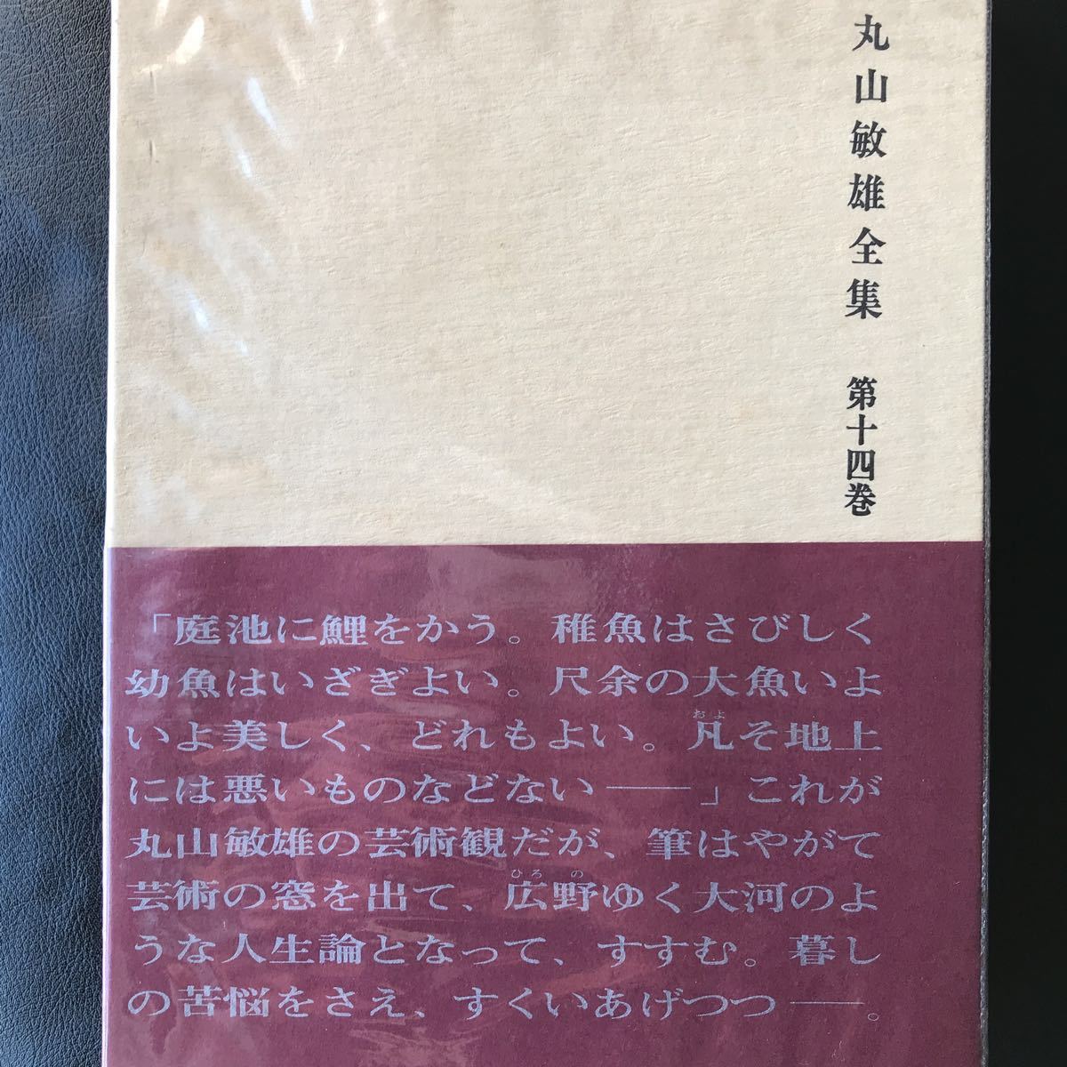 【即出荷】 帯 配本 共箱 倫理研究所 丸山敏雄全集 第十四巻 哲学、思想 - 哲学、思想