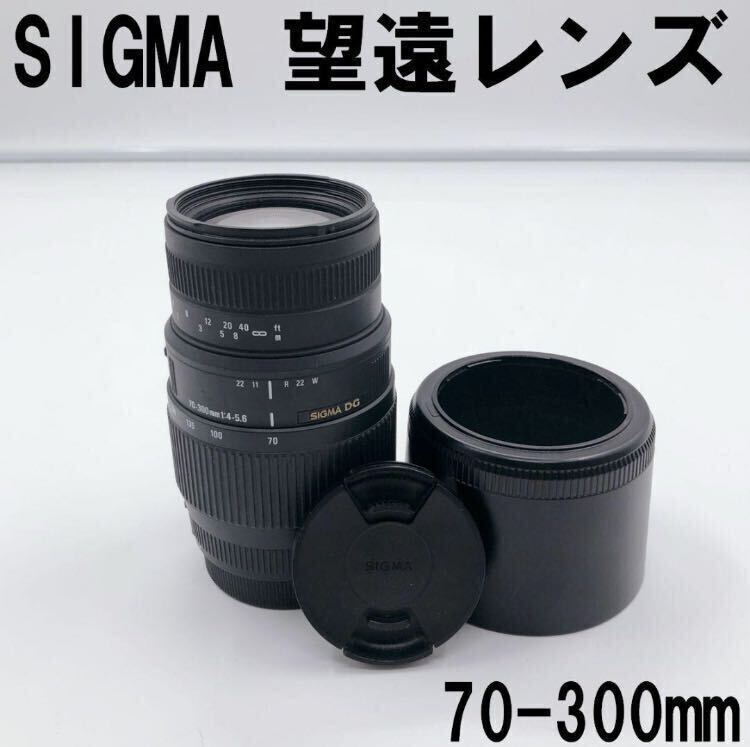 SIGMA 望遠レンズ 70-300mm CANONマウント