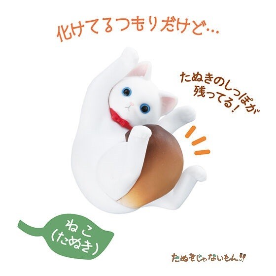 たぬきじゃないもん！！ 「ねこ（たぬき）」 ／ バンダイ ◇ 動物フィギュア ガチャ ガチャポン カプセルトイ_画像1