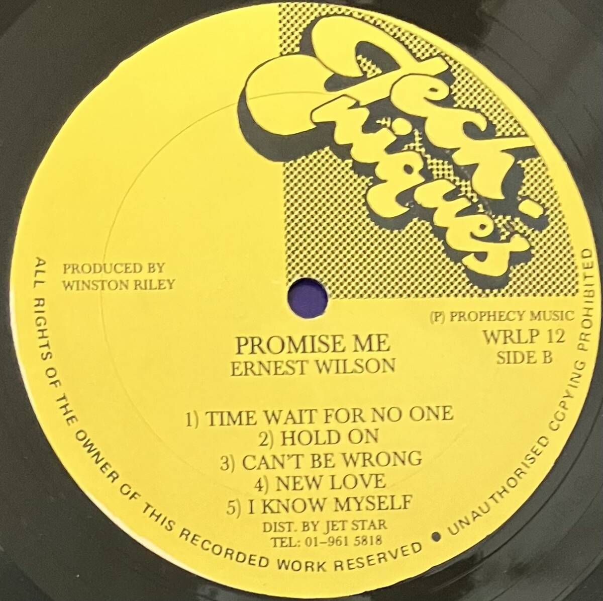 [ LP / レコード ] Ernest Wilson / Promise Me ( Reggae / Lovers Rock ) Techniques - WRLP 11 レゲエ ラヴァーズ ロック_画像4