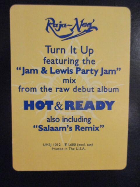 Raja-Nee ： Turn It Up 12'' (( The Jam/Lewis Party Jam / LP Version / Salaam's Remix / Tha Arsenal Remix / RajaNee Raja Neeの画像2