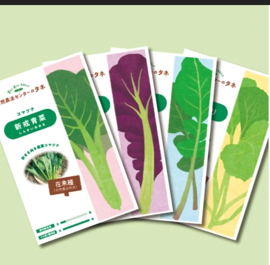無農薬　エルーゴ　サラダ菜の種　種　野菜の種　タネ　自然農法　国内採種　　家庭菜園　　プランター　有機野菜　身体に安心　農業