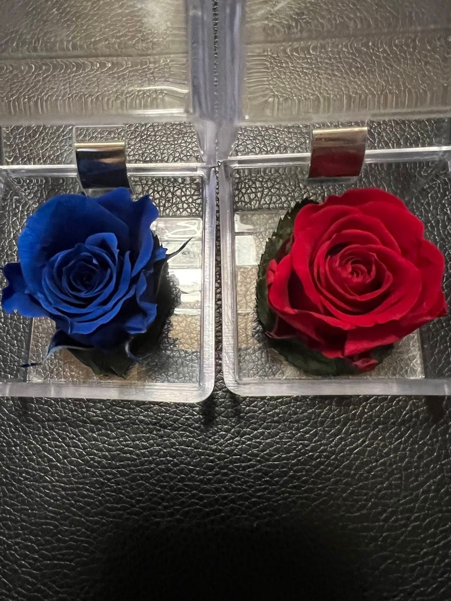 プリザーブドフラワー   ミニバラ   真紅&青   アクリルケースに擦れあり   薔薇は傷みなし  お値下げご遠慮下さい