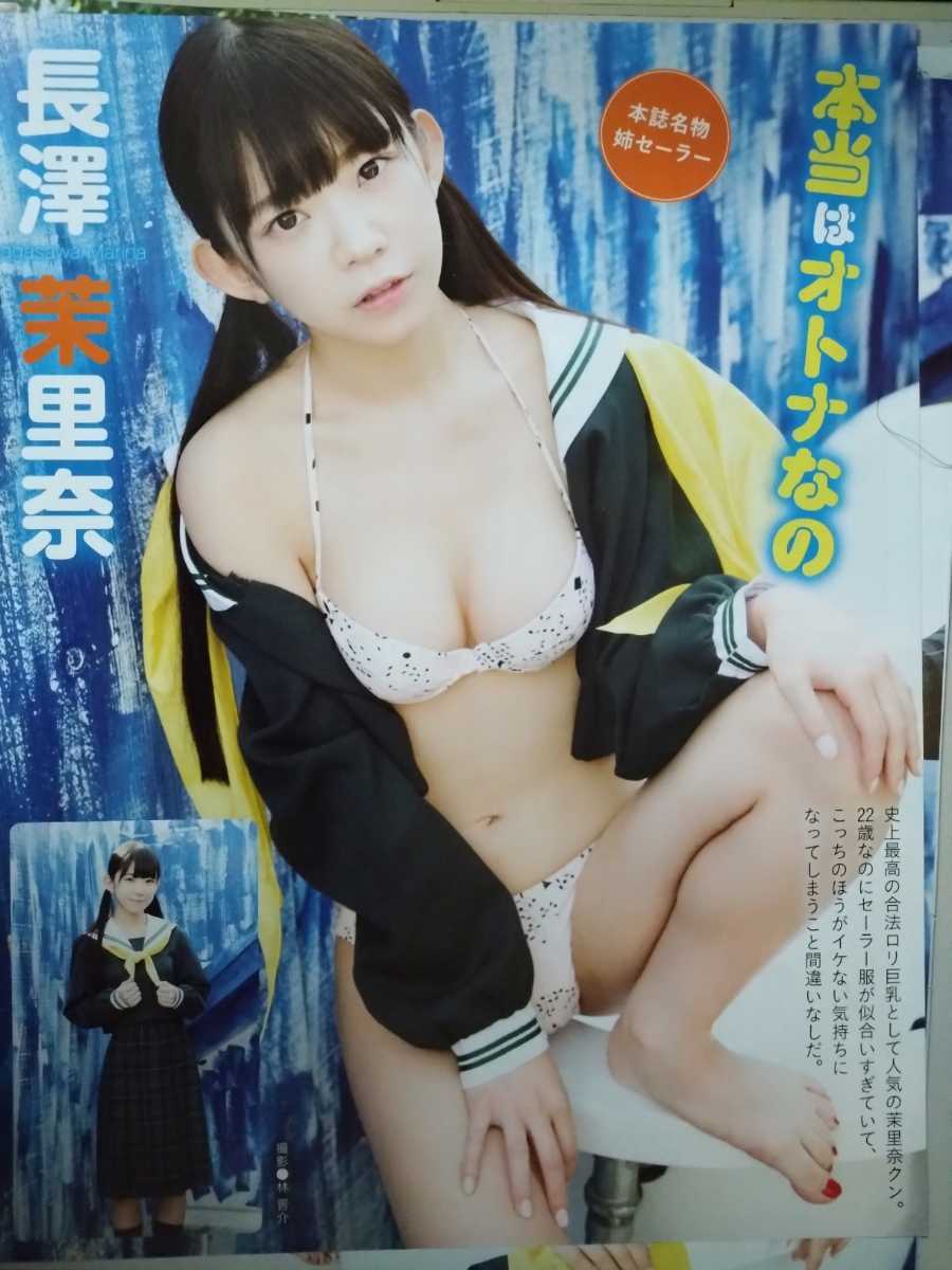 DVD告知ポスター「長澤茉里奈」+雑誌切り抜き7ページ_画像3