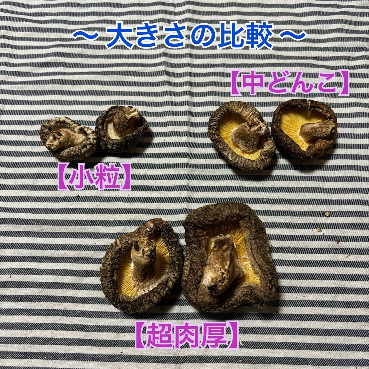 大分県産原木乾燥椎茸