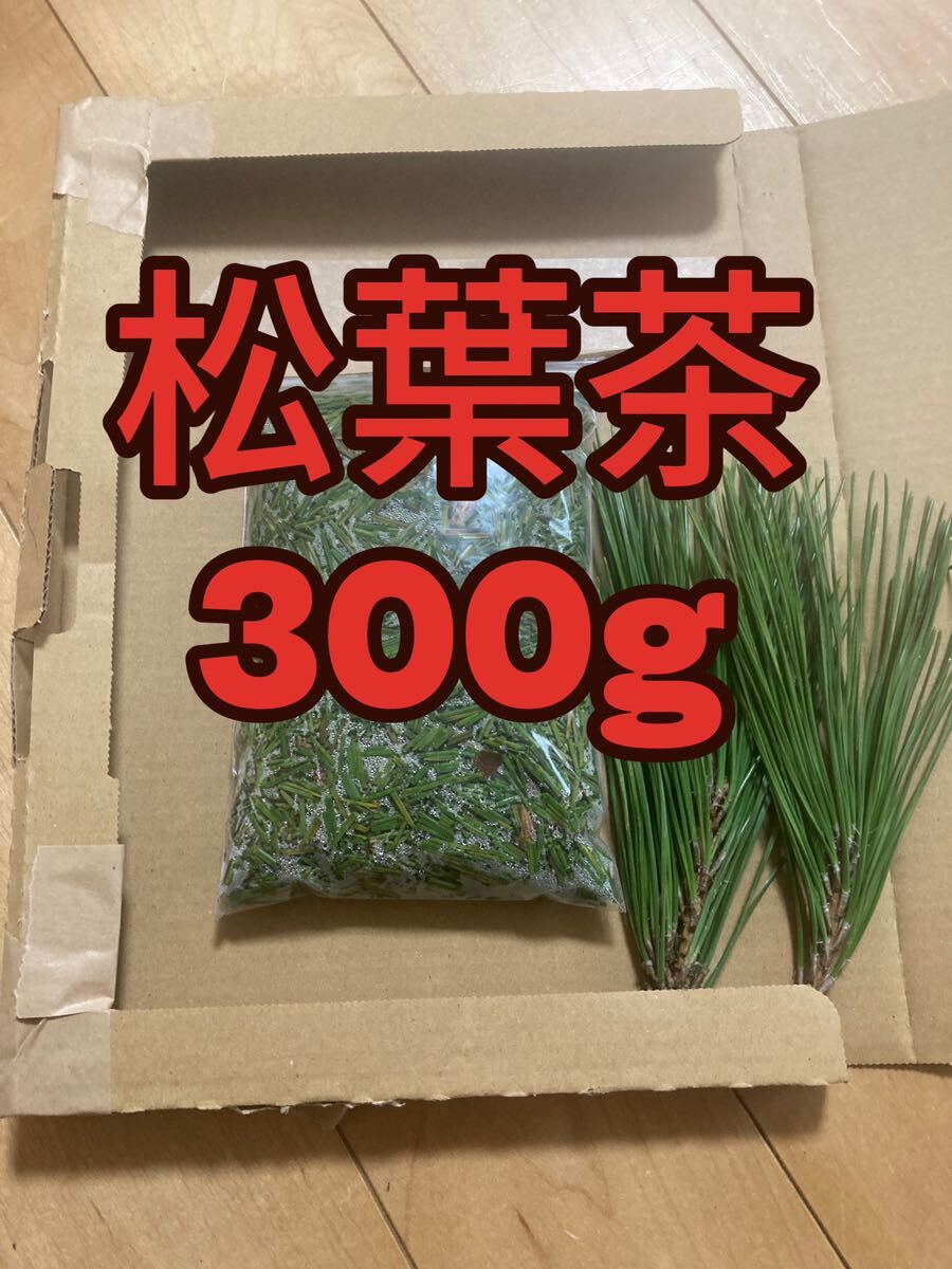  pine leaf tea 300g immediately buy possible same day shipping morning taking pesticide : cultivation period middle un- use 