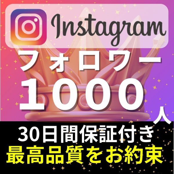 【安心安全★高品質★低価格★【Instagramフォロワー1000人】♪おまけ♪便利なSNS増加ツール！ SNS YouTube TikTok 他の画像1