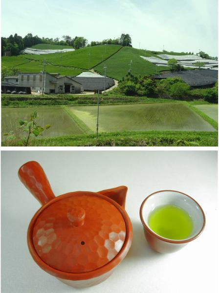 *# unusual tea! Kyoto [..] high class high-quality green tea . tea #*[10ps.@]