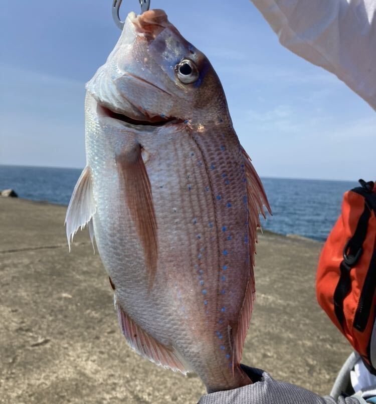 釣り　フロロカーボン　ハリス　ショックリーダー　3号　14.85LB 300m_画像7