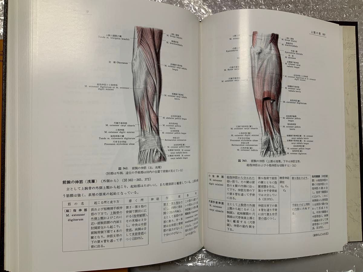 分担解剖学: (第1〜３巻)