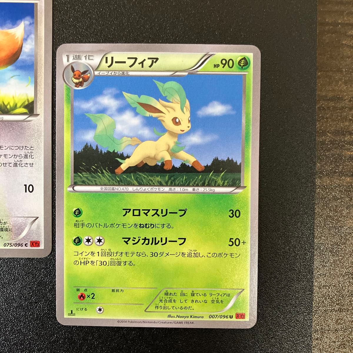 ブイズ 3枚セット イーブイ(XY3) リーフィア(BW8 プラズマ団 ブイズ 3枚セット イーブイ(XY3) リーフィア(BW8 プラズマ団