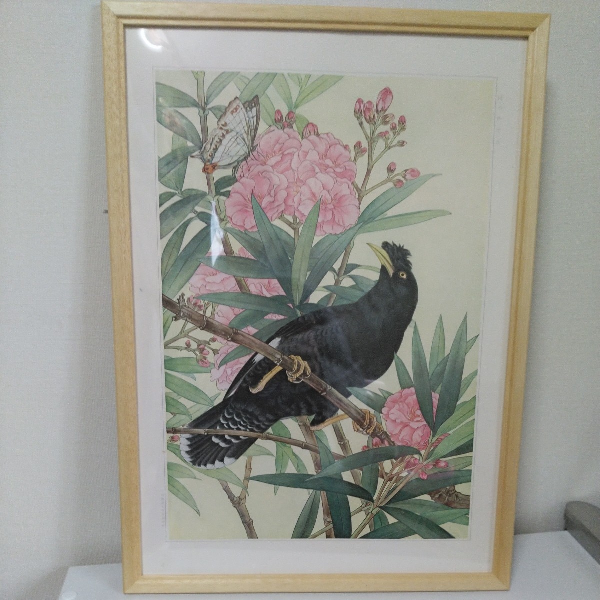 ボタニカルアート　鳥類写生図譜刊行会　ハッカチョウ(八哥鳥)とキョウチクトウ(夾竹桃)　水彩画　日本画 複製_構図が素敵です。