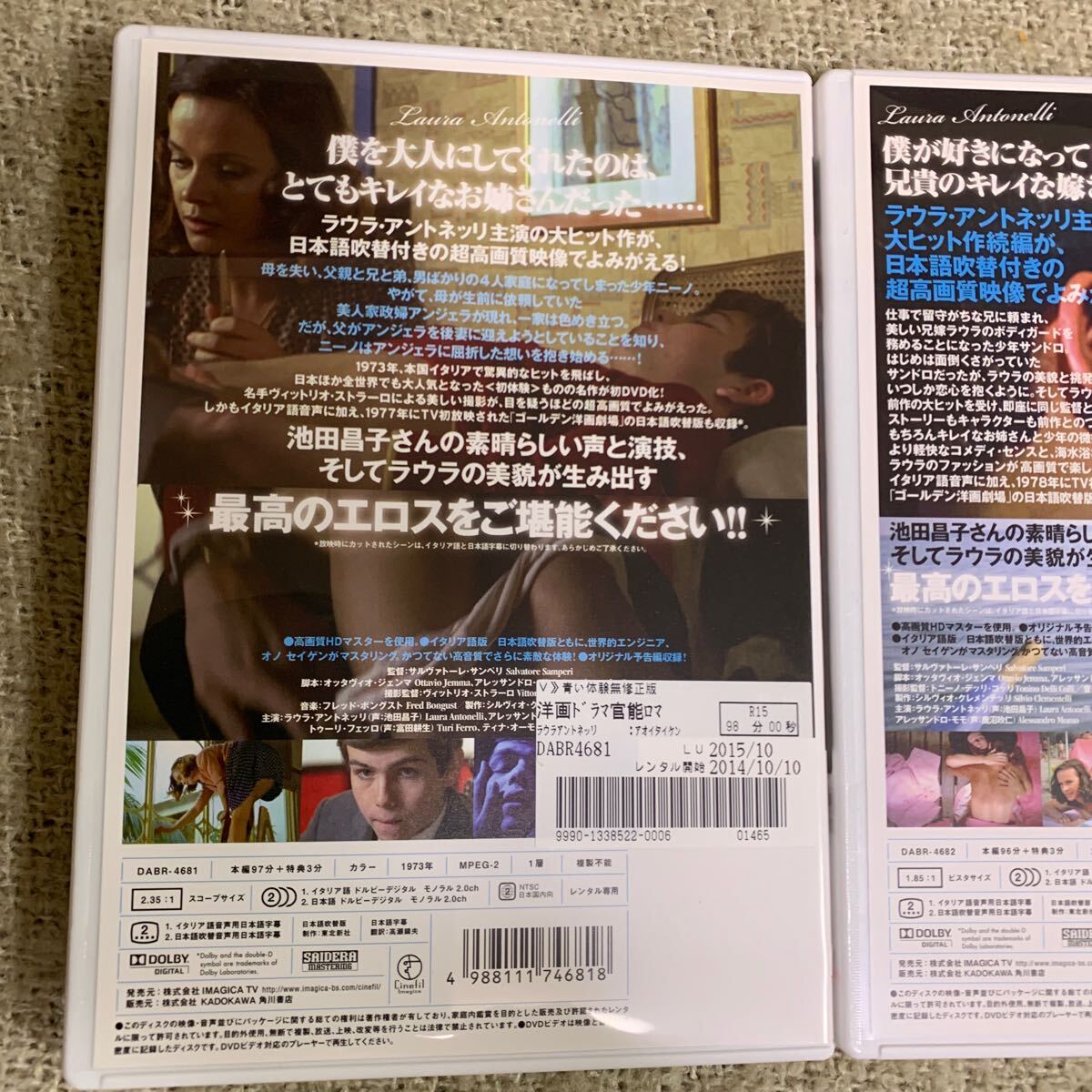 【新品ケースに交換済み・送料無料】　青い体験 続青い体験　DVD セット