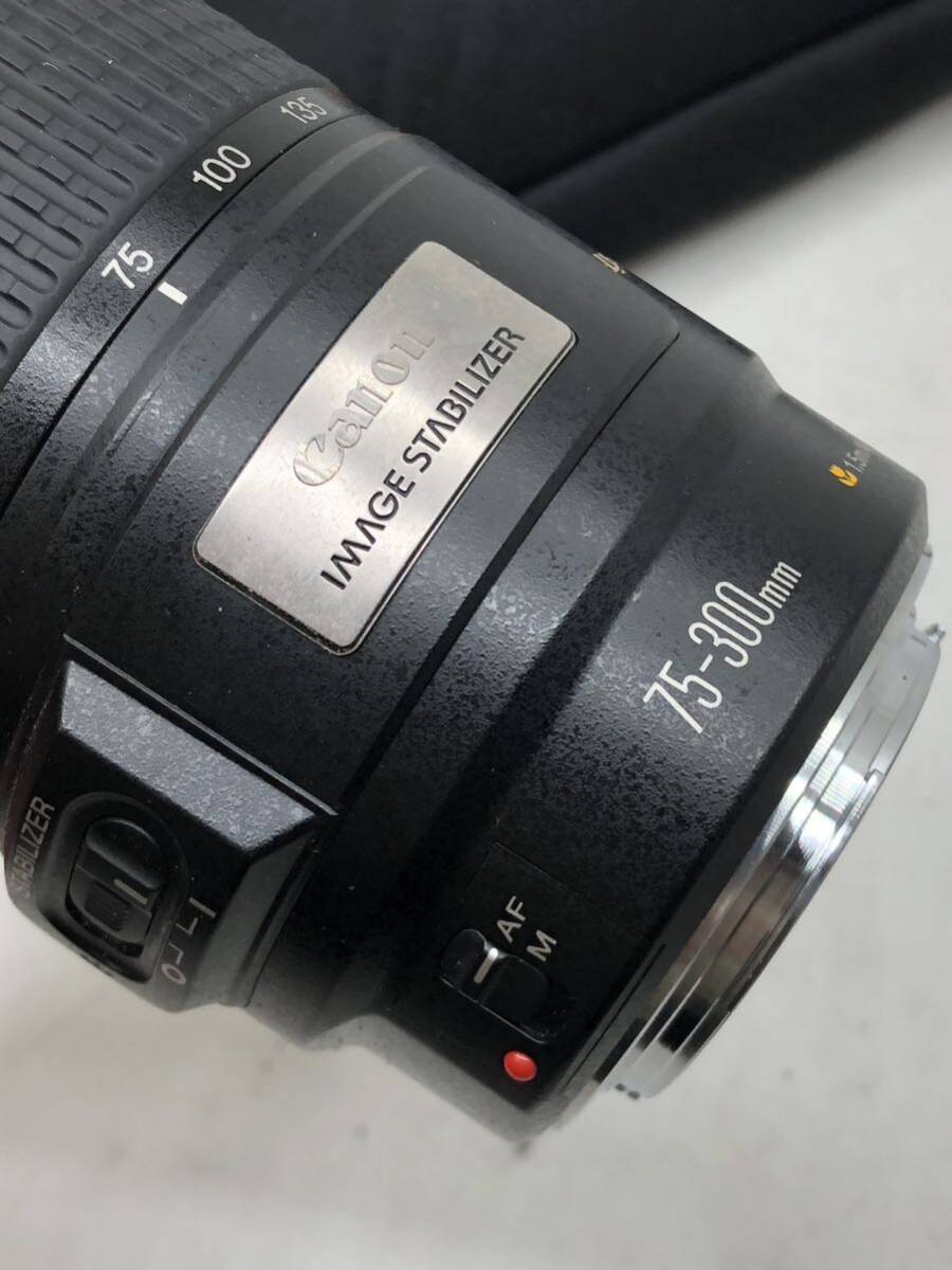 Canon ZOOM LENS EF 75-300mm 1:4-5.6 キヤノン　ズームレンズ_画像7