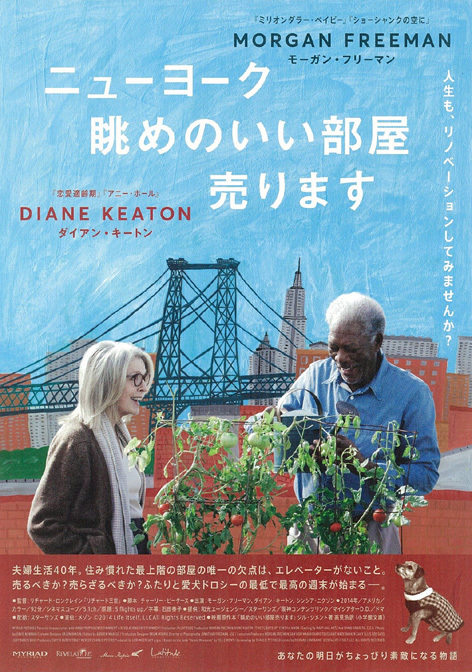 ★映画チラシ「ニューヨーク　眺めのいい部屋売ります」２０１４年作品【米】_画像1