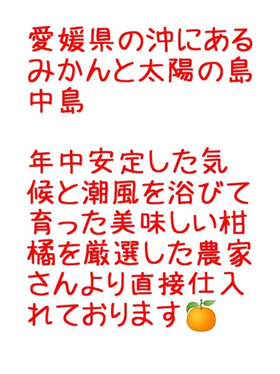 送料込！！愛媛県中島産いよかんおつとめ品箱込17㎏(14㎏+保証量1.5㎏)伊予柑産地直送③_画像3