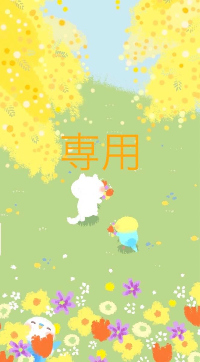 Luu様専用  干し芋鳴門金時