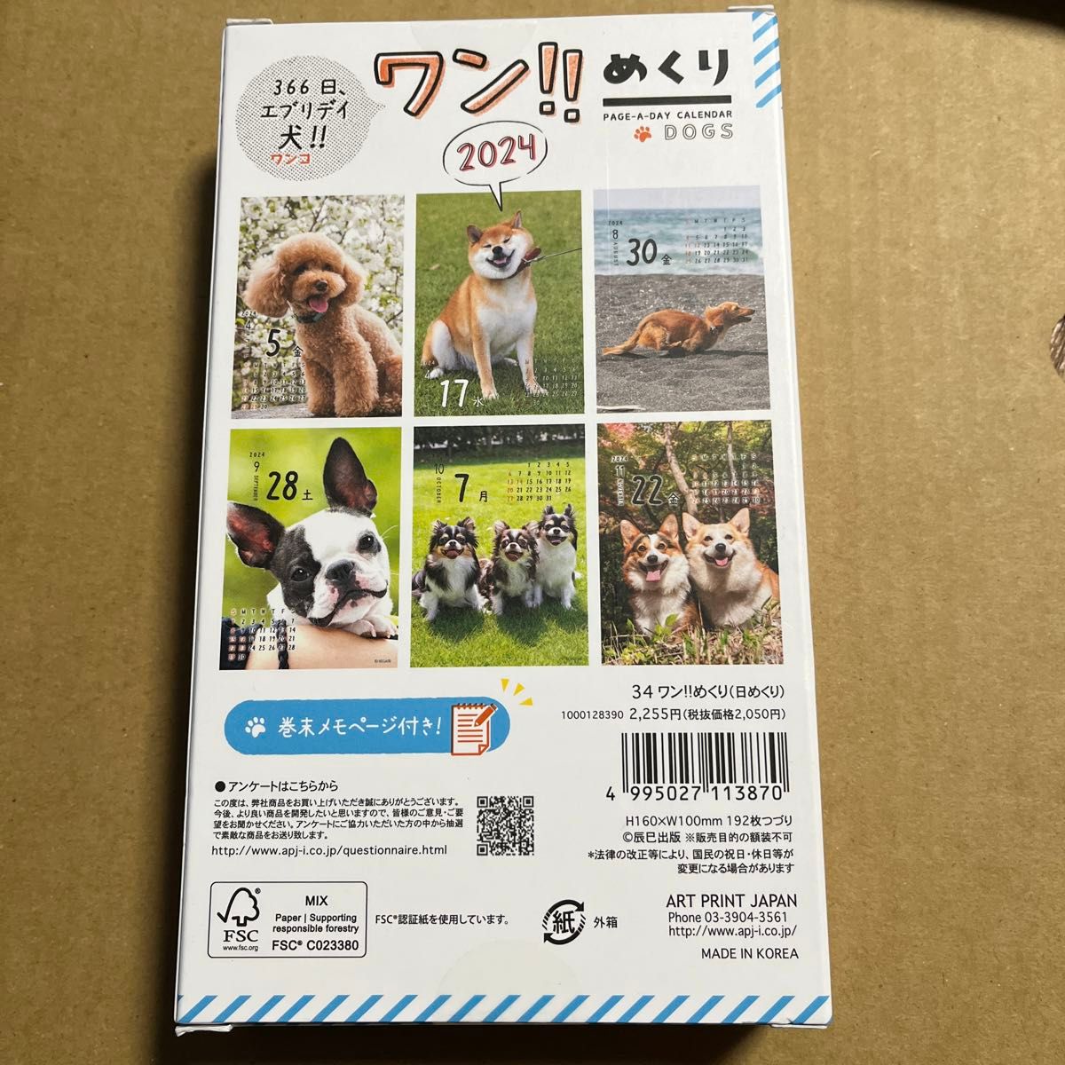 ワン!! めくり カレンダー 犬　2024年 日めくり　卓上カレンダー