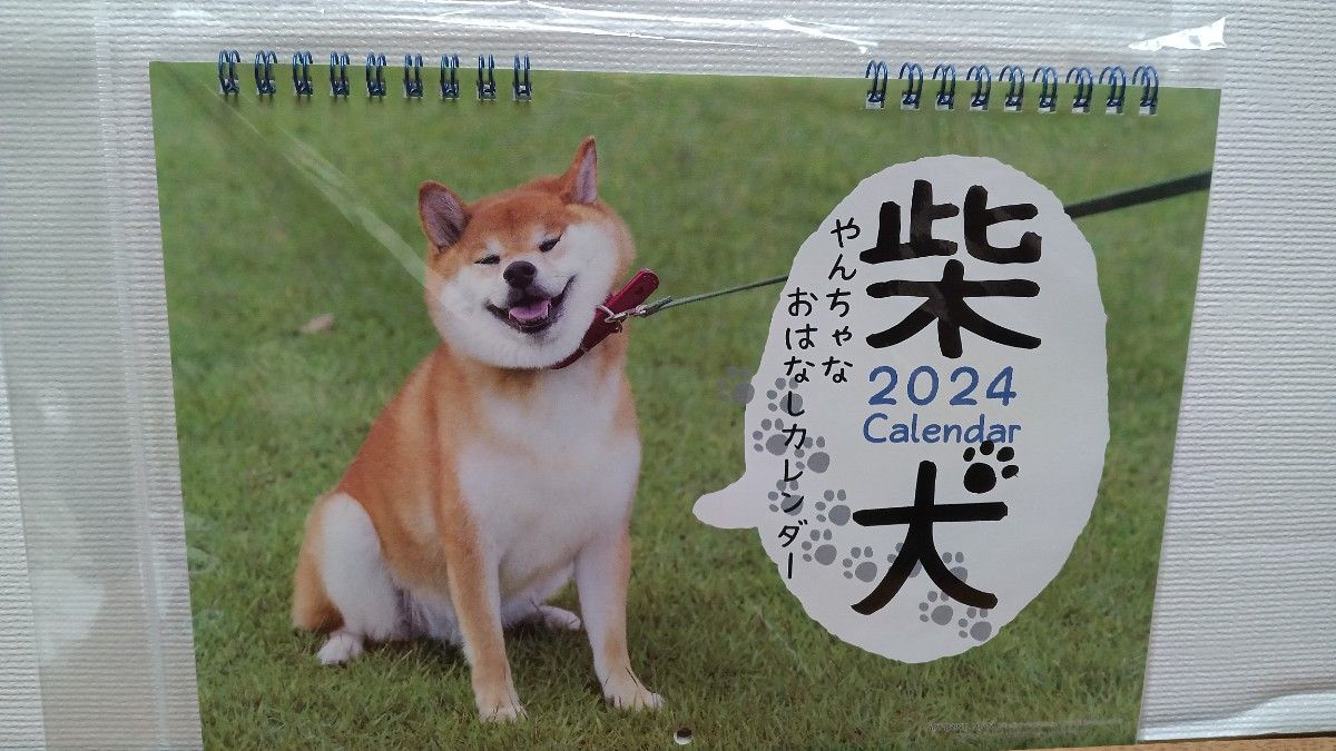 柴犬 2024 calendar やんちゃなおはなしカレンダー