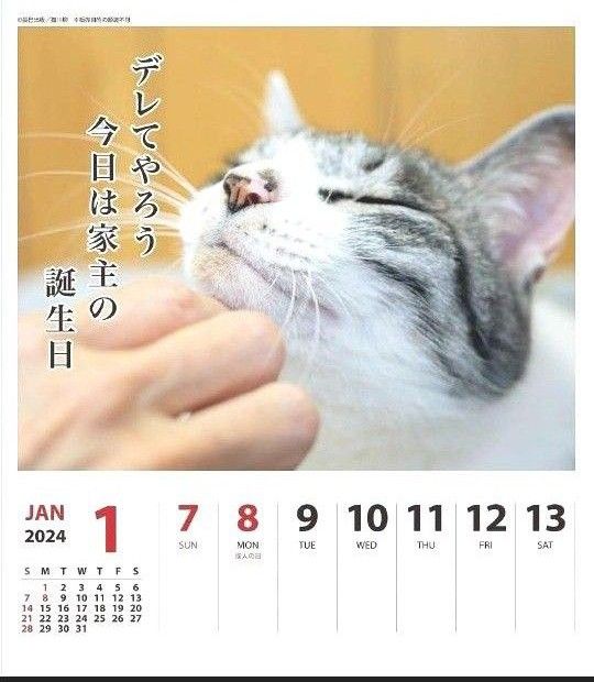 2024年 猫川柳 (週めくり)カレンダー ネコ 卓上カレンダー