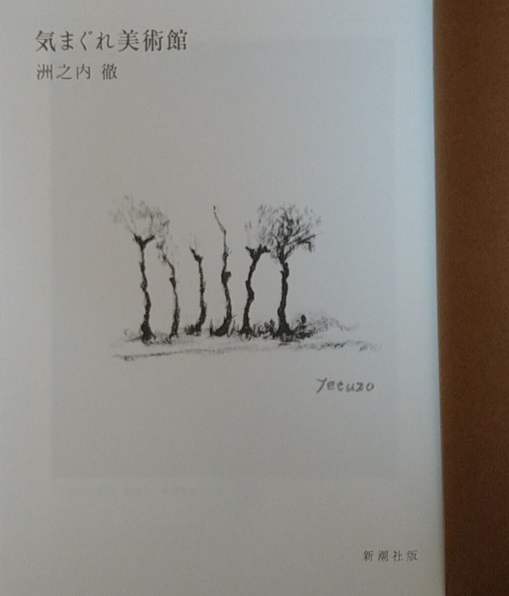 気まぐれ美術館 洲之内徹著 美品 函付 平成6年 第15刷 1994年 芸術新潮_画像5