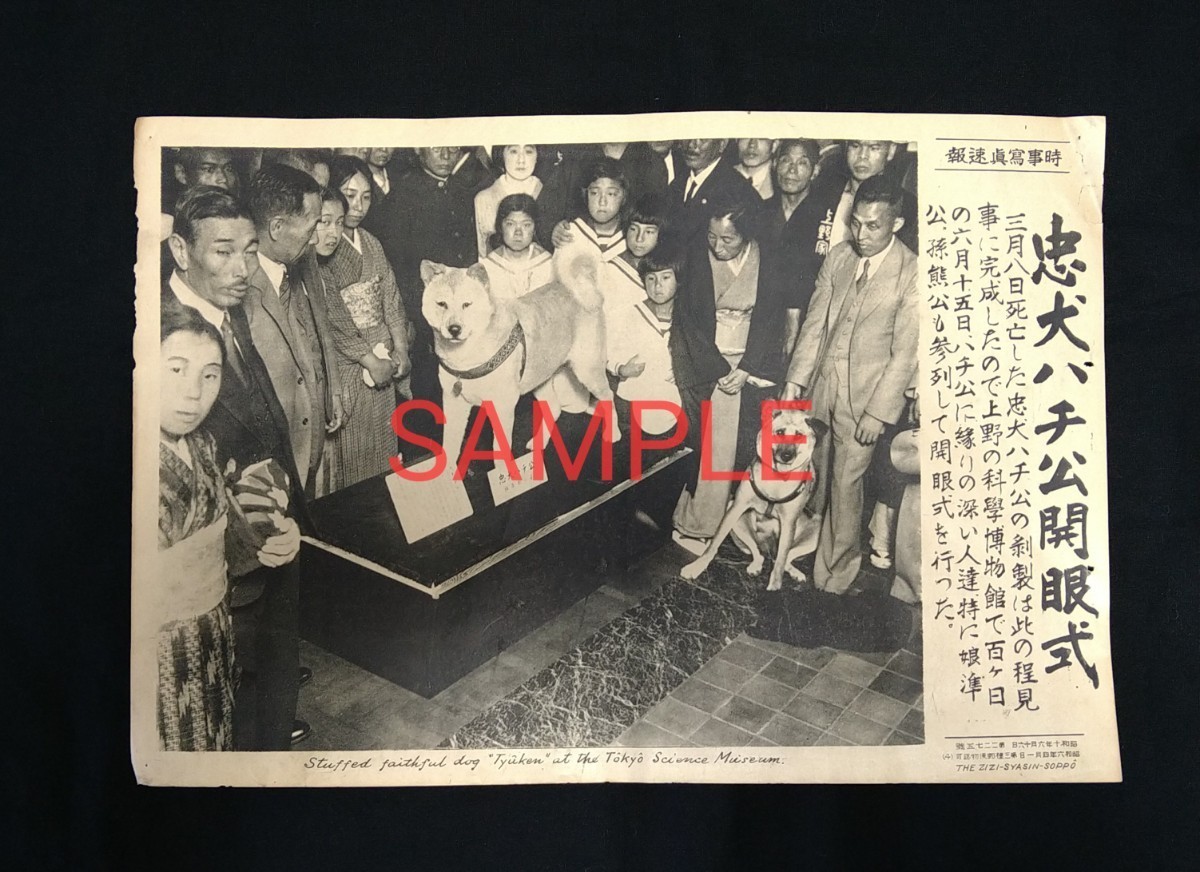 時事写真速報 渋谷 忠犬ハチ公 昭和10年6月16日 1935年 国立科学博物館 上野家 熊公 希少報道写真_画像1