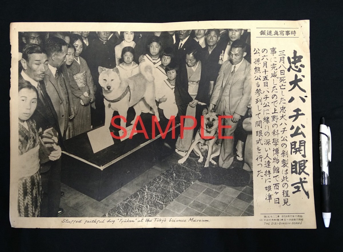 時事写真速報 渋谷 忠犬ハチ公 昭和10年6月16日 1935年 国立科学博物館 上野家 熊公 希少報道写真_画像3