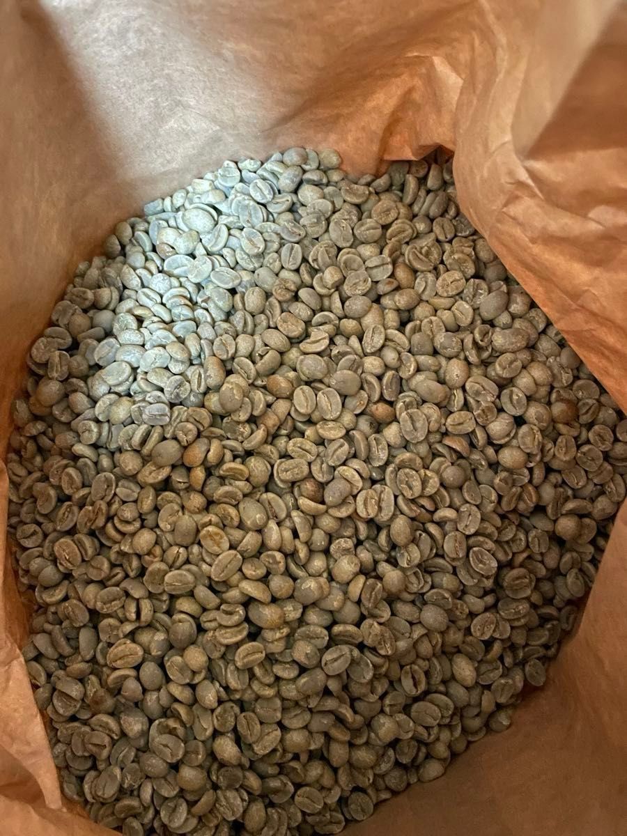 原産国ブラジル　イエローカトゥーアイ 200gコーヒー豆