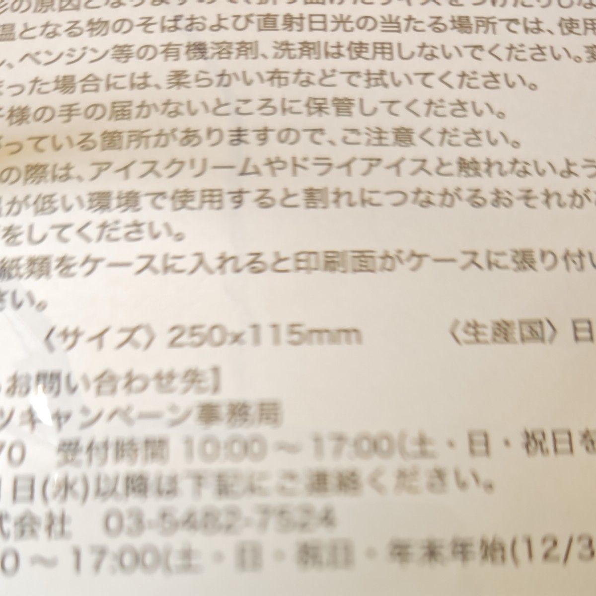 佐藤健ハーゲンダッツオリジナルクリアファイル