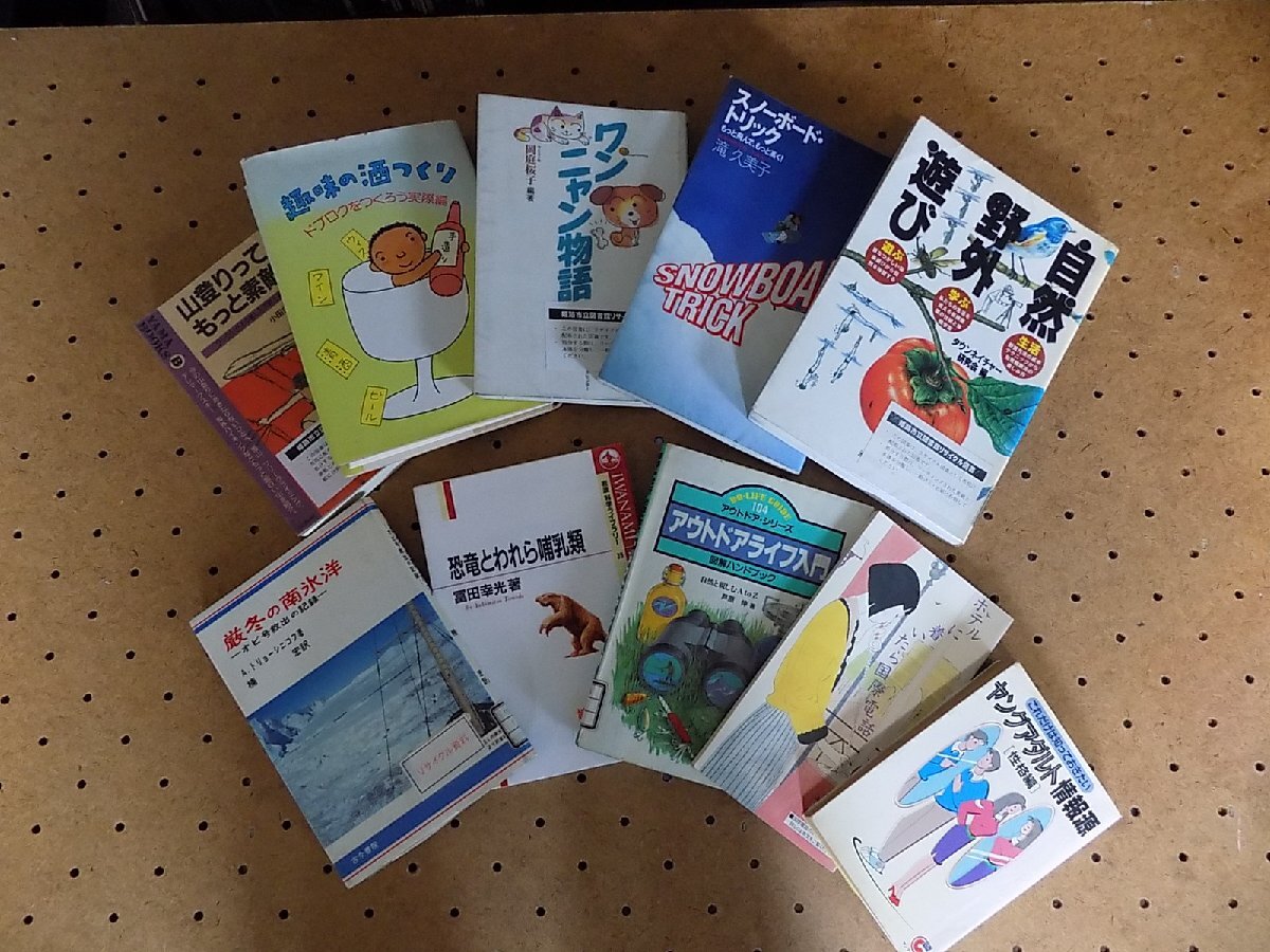 ●一円スタート●趣味の本　他全10冊セット　まとめ売り/mo-Z-113-4671/アウトドア/自然/野外/山登り/スノーボード/南氷洋/性格診断_画像1