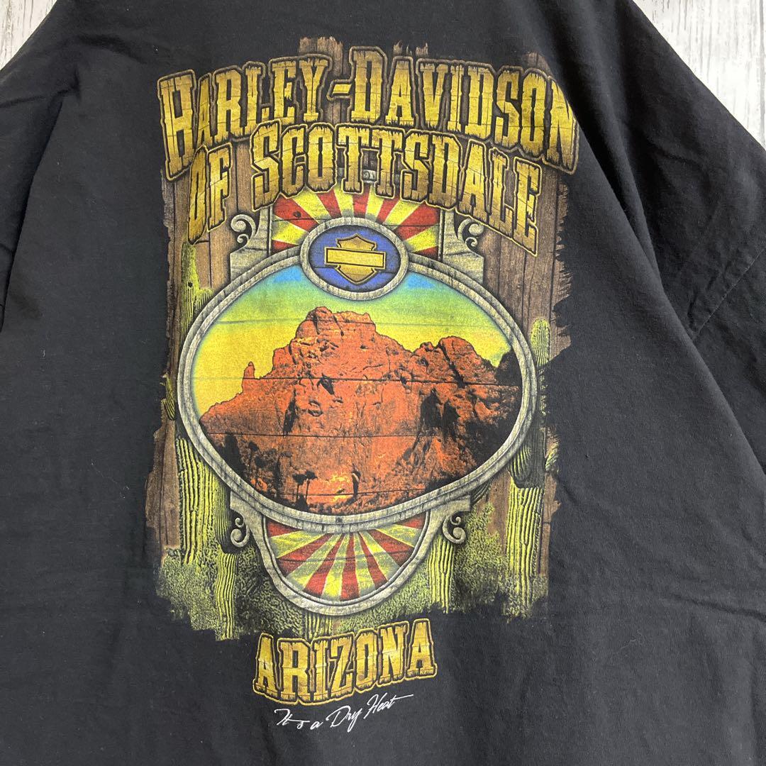 HARLEY DAVIDSON ハーレーダビッドソン Tシャツ ハーレーT HARLEY DAVIDSON ハーレーダビッドソン Tシャツ ハーレーT