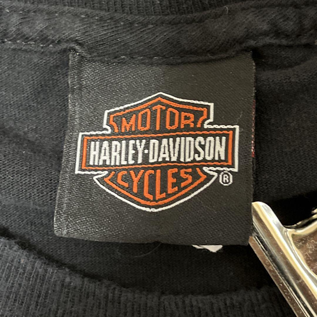 HARLEY DAVIDSON ハーレーダビッドソン Tシャツ ハーレーT HARLEY DAVIDSON ハーレーダビッドソン Tシャツ ハーレーT