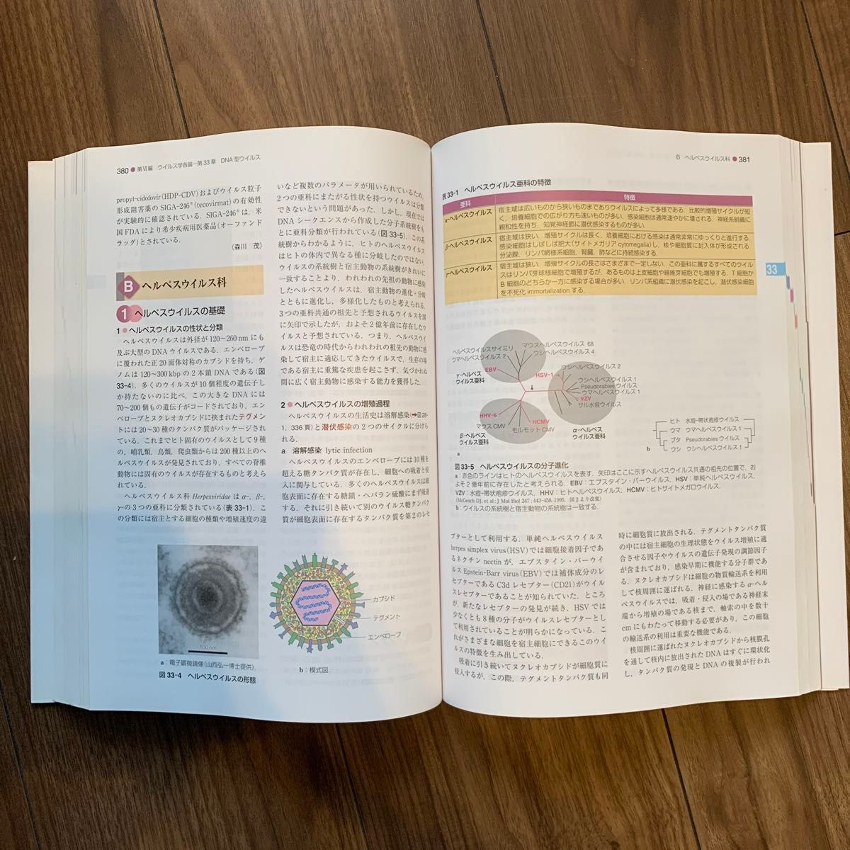 標準微生物学 （Ｓｔａｎｄａｒｄ　Ｔｅｘｔｂｏｏｋ） （第１３版） 中込治／監修　神谷茂／編集　錫谷達夫／編集