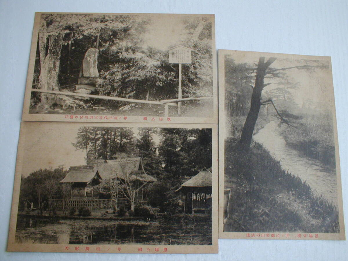 絵葉書 井之頭恩賜公園 9枚 三代将軍御切付の旧蹟 弁財天 清流 絵葉書 井之頭恩賜公園 9枚 三代将軍御切付の旧蹟 弁財天 清流