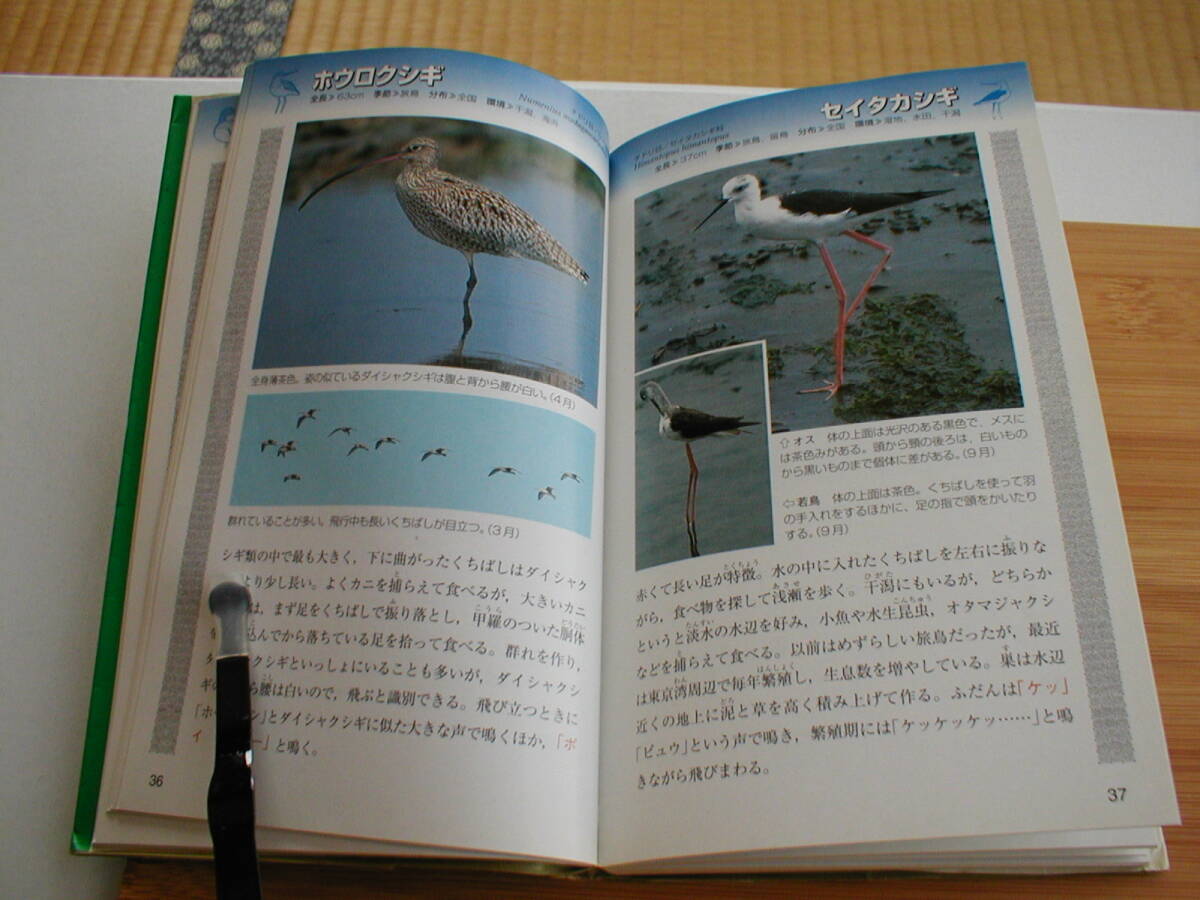 声が聞こえる!野鳥図鑑 上田秀雄 文一総合出版 2001年 第1刷_画像5